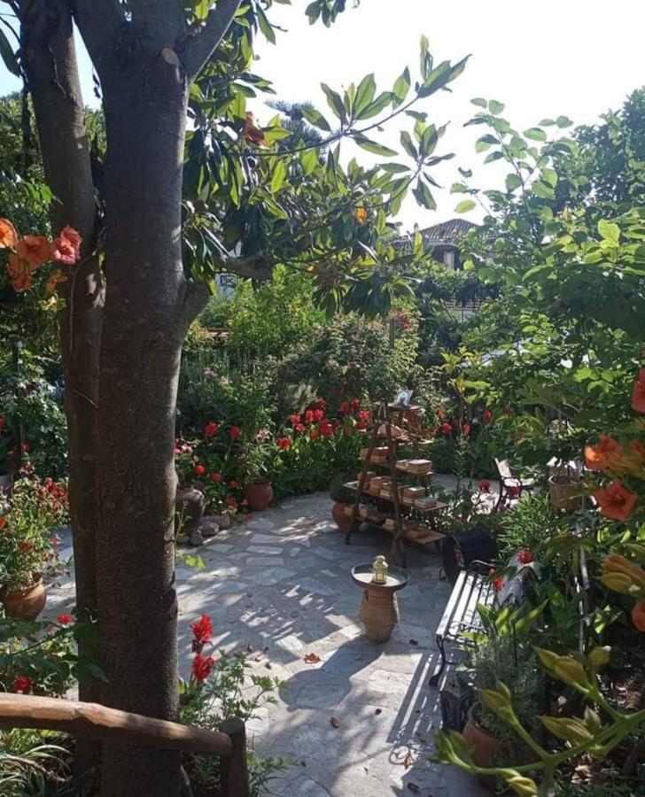 Stamatia'S Garden Hotel Agnontas Eksteriør billede