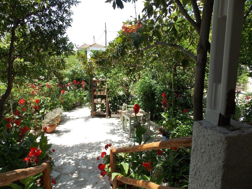 Stamatia'S Garden Hotel Agnontas Eksteriør billede