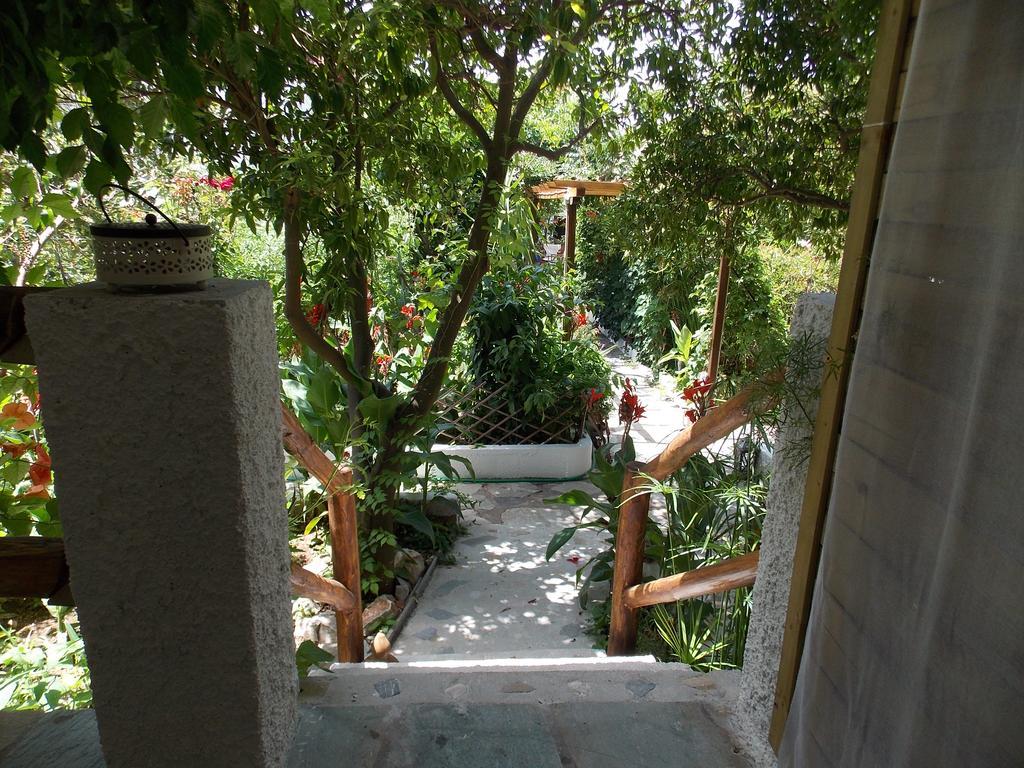 Stamatia'S Garden Hotel Agnontas Eksteriør billede