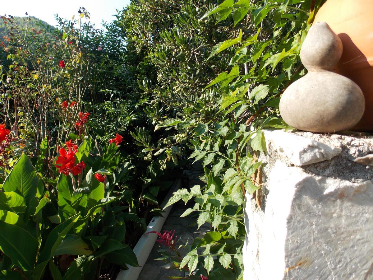 Stamatia'S Garden Hotel Agnontas Eksteriør billede