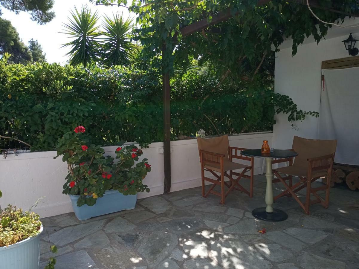 Stamatia'S Garden Hotel Agnontas Eksteriør billede