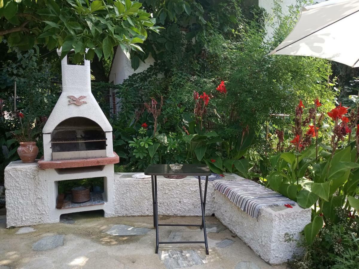 Stamatia'S Garden Hotel Agnontas Eksteriør billede