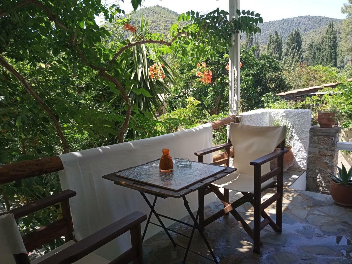 Stamatia'S Garden Hotel Agnontas Eksteriør billede