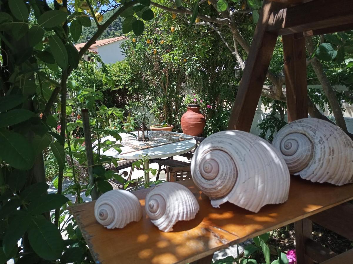 Stamatia'S Garden Hotel Agnontas Eksteriør billede